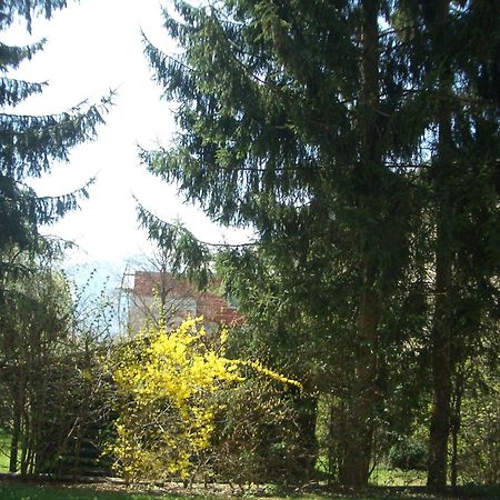 Gartenapartment Zell am See Exterior photo