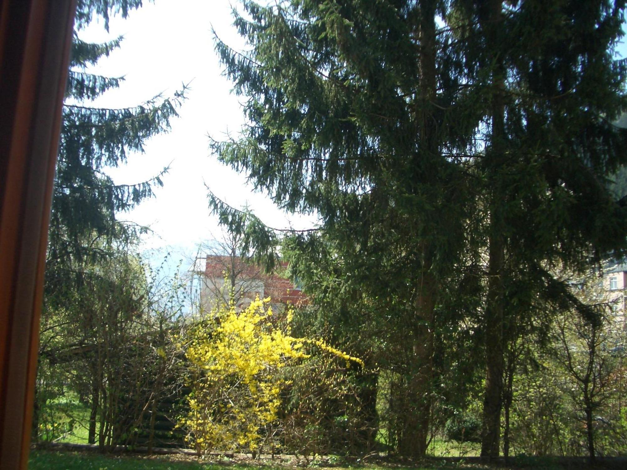 Gartenapartment Zell am See Exterior photo